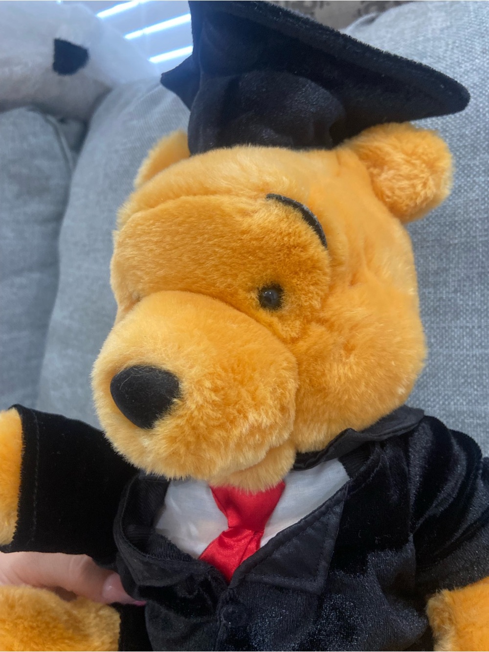Disney Vintage Winnie The Pooh Graduation Plush - Picture 3 of 9